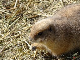 Tiergarten Schönbrunn am 23.03.2023